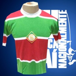 Camisa cruzeiro palestre